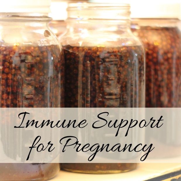 Immune Support For Pregnancy